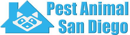 San Diego Wildlife and Animal Removal